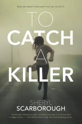 Atrapar a un asesino - To Catch a Killer
