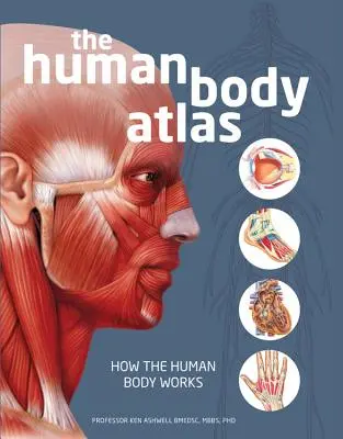 Atlas del cuerpo humano: Cómo funciona el cuerpo humano - The Human Body Atlas: How the Human Body Works