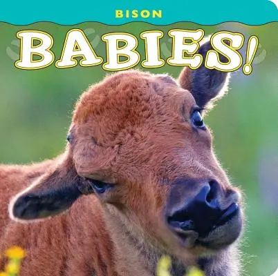 ¡Bison Babies! - Bison Babies!