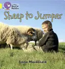 De oveja a saltador - Sheep to Jumper