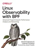 Observabilidad de Linux con Bpf: Programación avanzada para análisis de rendimiento y redes - Linux Observability with Bpf: Advanced Programming for Performance Analysis and Networking