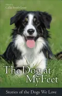 El perro a mis pies: Historias de los perros que amamos - The Dog at My Feet: Stories of the Dogs We Love