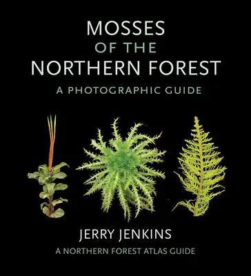 Musgos de los bosques septentrionales: Guía fotográfica - Mosses of the Northern Forest: A Photographic Guide