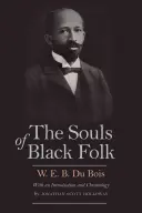 Las almas de los negros - The Souls of Black Folk