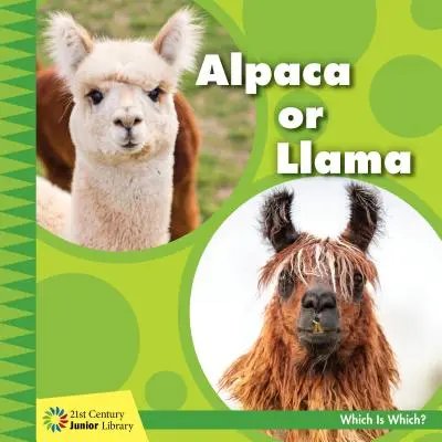 Alpaca o Llama - Alpaca or Llama