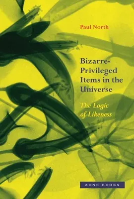 Objetos Bizarros-Privilegiados en el Universo: La lógica de la semejanza - Bizarre-Privileged Items in the Universe: The Logic of Likeness