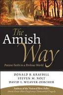 El camino amish: La fe paciente en un mundo peligroso - The Amish Way: Patient Faith in a Perilous World