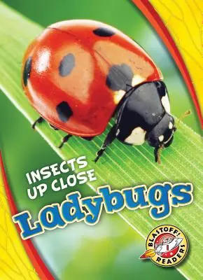 Mariquitas - Ladybugs