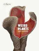 Plantas raras - Weird Plants