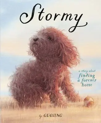 Stormy: Una historia sobre la búsqueda de un hogar para siempre - Stormy: A Story about Finding a Forever Home