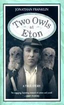 Dos búhos en Eton - Two Owls at Eton