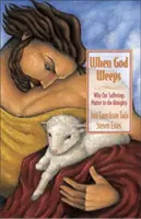 Cuando Dios llora: Por qué nuestros sufrimientos importan al Todopoderoso - When God Weeps: Why Our Sufferings Matter to the Almighty