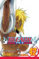 Bleach, Vol. 42, 42