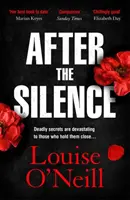 Después del silencio - La novela negra irlandesa del año - After the Silence - The An Post Irish Crime Novel of the Year