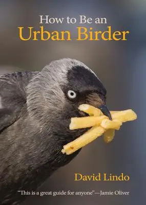 Cómo Ser un Observador Urbano de Aves - How to Be an Urban Birder