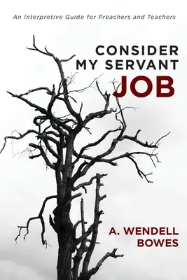 Consider My Servant Job: Guía interpretativa para predicadores y profesores - Consider My Servant Job: An Interpretive Guide for Preachers and Teachers