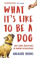 Cómo es ser un perro - Y otras aventuras en neurociencia animal - What It's Like to Be a Dog - And Other Adventures in Animal Neuroscience