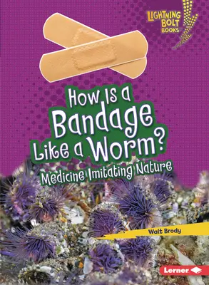 ¿En qué se parece una venda a un gusano? La medicina imita a la naturaleza - How Is a Bandage Like a Worm?: Medicine Imitating Nature