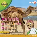 Mi mundo del Golfo y yo Nivel 2 lectura de no ficción: Los animales y sus crías - My Gulf World and Me Level 2 non-fiction reader: Animals and their babies