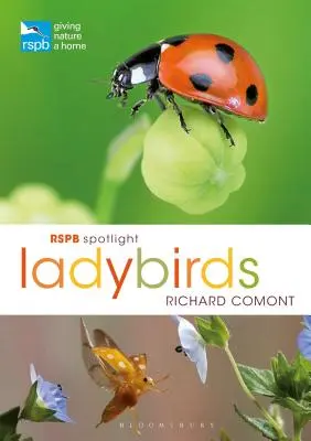 Rspb Spotlight Ladybirds