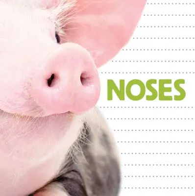 Narices - Noses