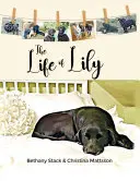 La vida de Lily - The Life of Lily