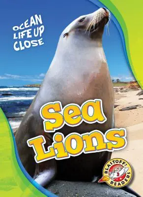 Leones marinos - Sea Lions