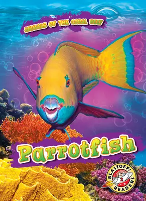 Pez loro - Parrotfish