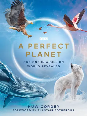 Un planeta perfecto - A Perfect Planet