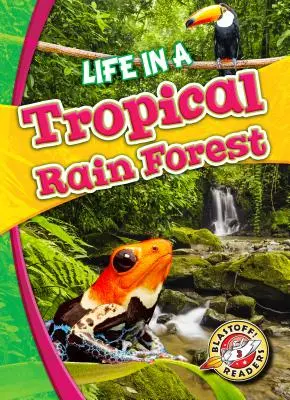 La vida en una selva tropical - Life in a Tropical Rain Forest