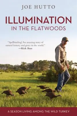 Iluminación en Flatwoods: Una temporada viviendo entre pavos salvajes - Illumination in the Flatwoods: A Season Living Among the Wild Turkey