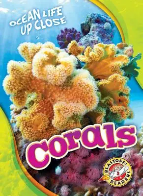 Corales - Corals