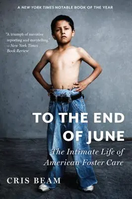 Hasta finales de junio: The Intimate Life of American Foster Care - To the End of June: The Intimate Life of American Foster Care