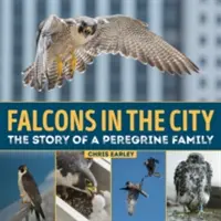 Halcones en la ciudad: La historia de una familia de halcones peregrinos - Falcons in the City: The Story of a Peregine Family