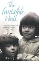El muro invisible - Invisible Wall