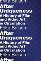 Tras la singularidad: Una historia del cine y el videoarte en circulación - After Uniqueness: A History of Film and Video Art in Circulation