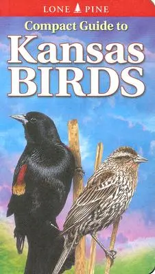 Guía compacta de aves de Kansas - Compact Guide to Kansas Birds