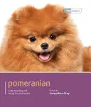 Pomerania - Pomeranian