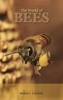 El mundo de las abejas: De la obra de Rudolf Steiner - The World of Bees: From the Work of Rudolf Steiner