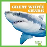 Gran tiburón blanco - Great White Shark