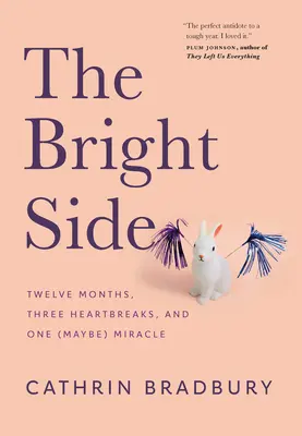 El lado bueno de las cosas: Doce meses, tres desengaños y un (tal vez) milagro - The Bright Side: Twelve Months, Three Heartbreaks, and One (Maybe) Miracle