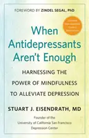 Cuando los antidepresivos no bastan: aprovechar el poder de la atención plena para aliviar la depresión - When Antidepressants Aren't Enough: Harnessing the Power of Mindfulness to Alleviate Depression