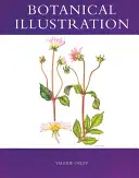 Ilustración botánica - Botanical Illustration