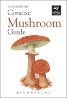 Guía concisa de setas - Concise Mushroom Guide