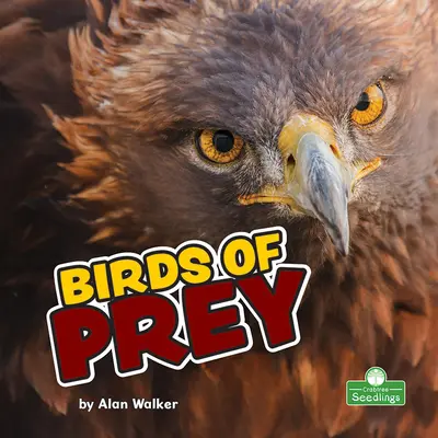 Aves rapaces - Birds of Prey