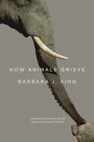 El duelo de los animales - How Animals Grieve