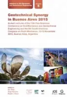 SINERGIA GEOTÉCNICA EN BUENOS AIRES 201 - GEOTECHNICAL SYNERGY IN BUENOS AIRES 201