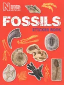 Libro de pegatinas Fósiles - Fossils Sticker Book