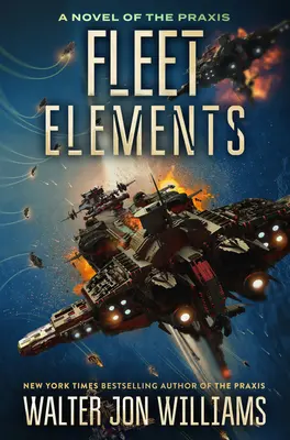 Elementos de la flota - Fleet Elements