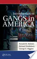 Introducción a las bandas en Estados Unidos - Introduction to Gangs in America